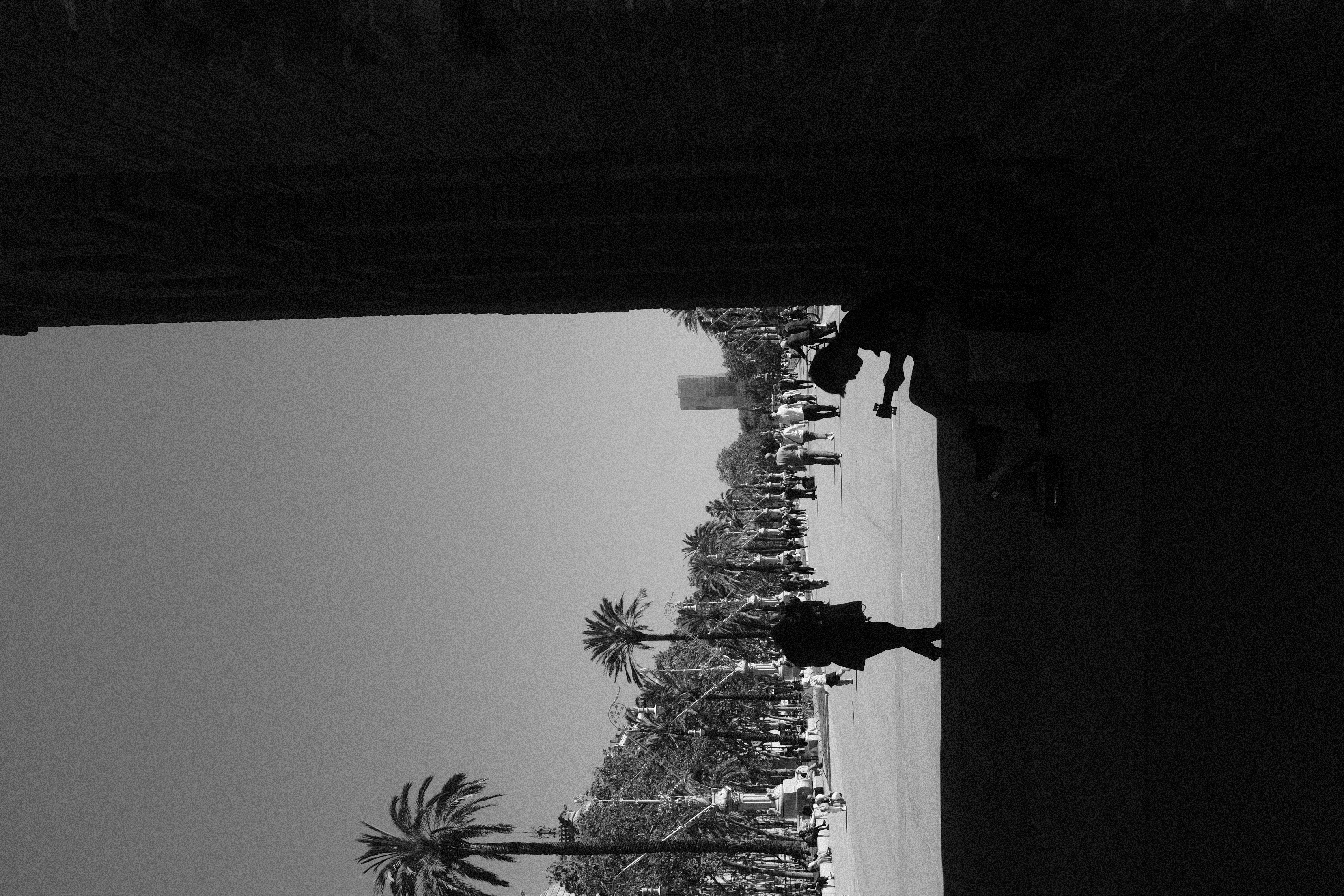 Photograph 007