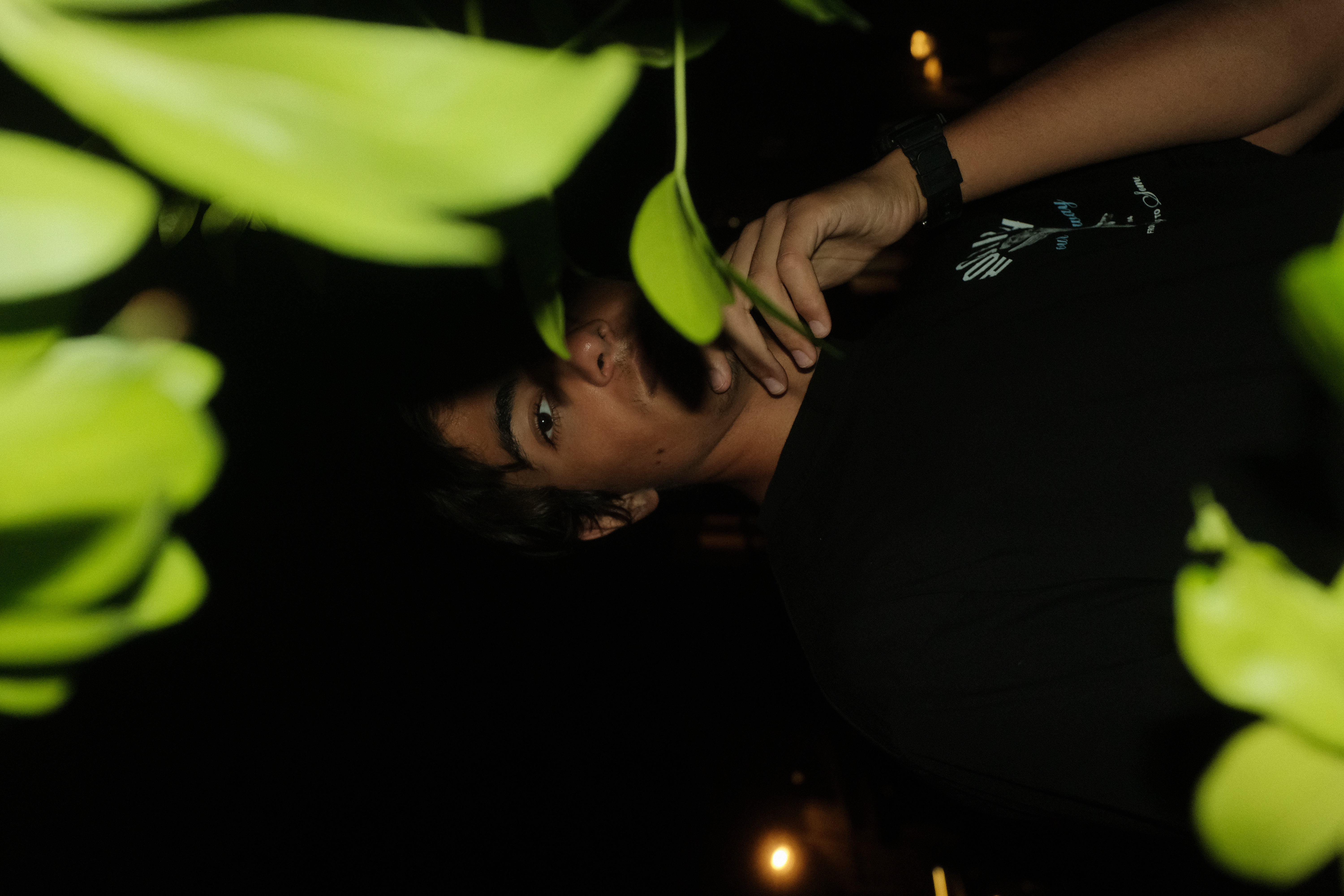 Photograph 010