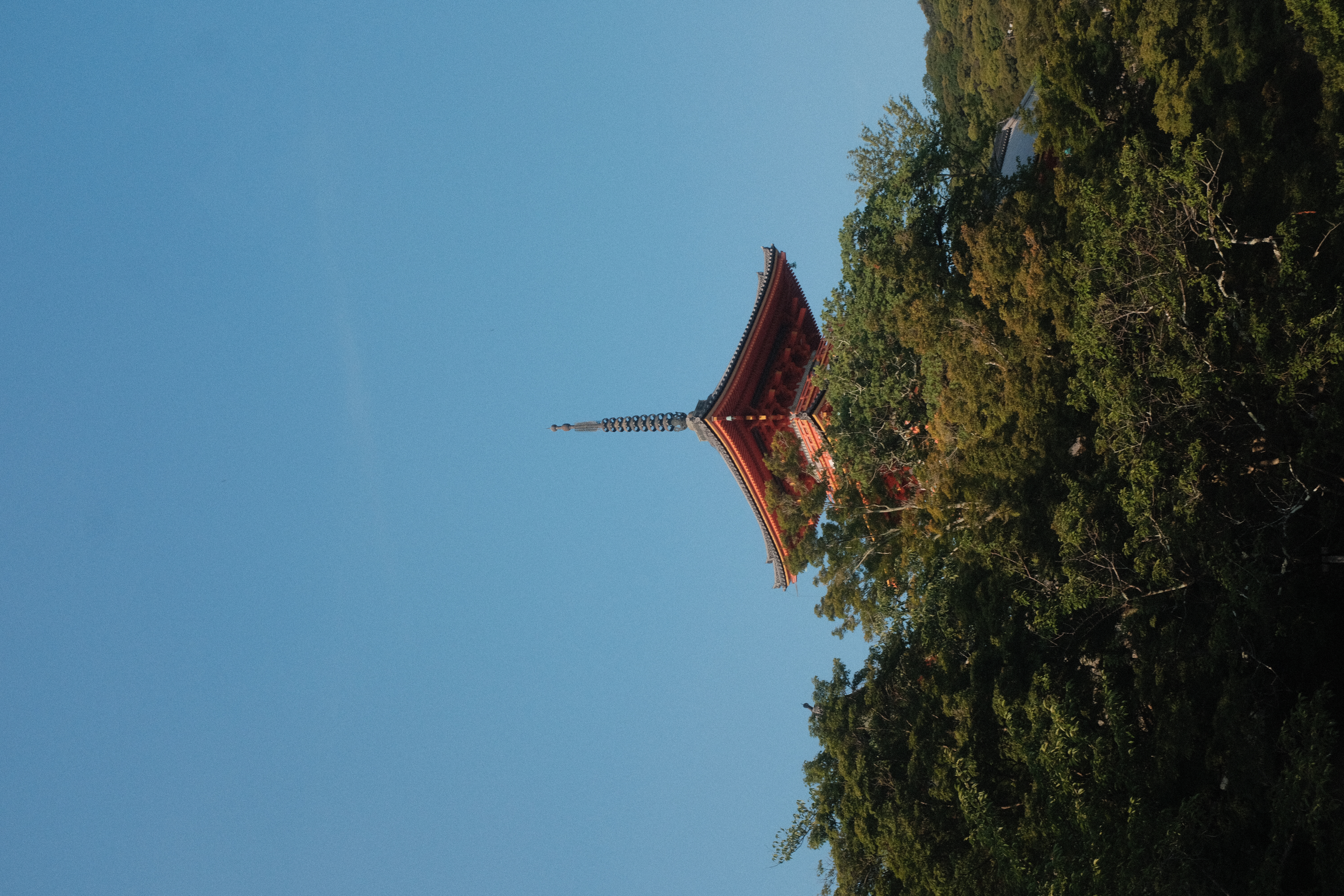 Photograph 020